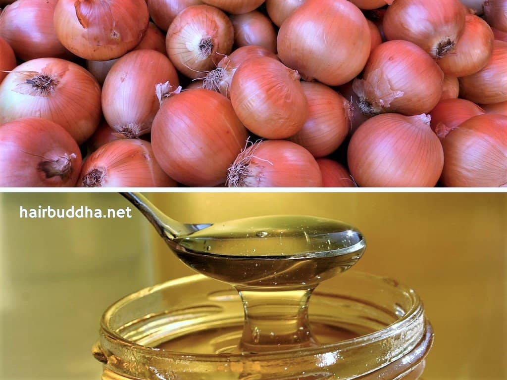 onion and honey for hair loss